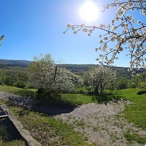 A Surrounded By Greenery - La Piaggia - Vivo dʼOrcia